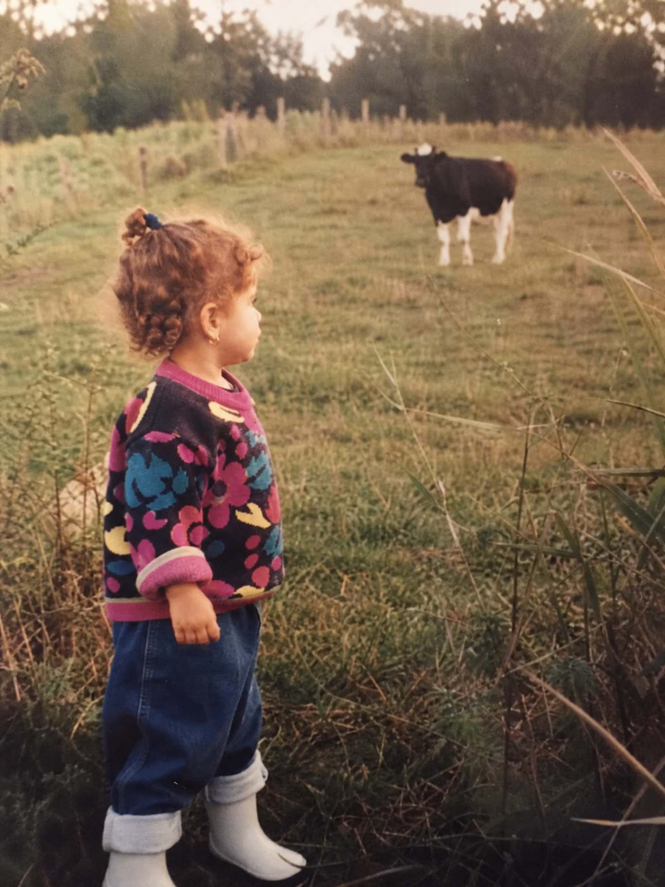 Niña en el campo mirando una vaca — Nutful muy pronto